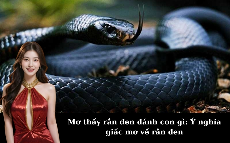Mơ thấy rắn đen đánh con gì: Ý nghĩa giấc mơ về rắn đen