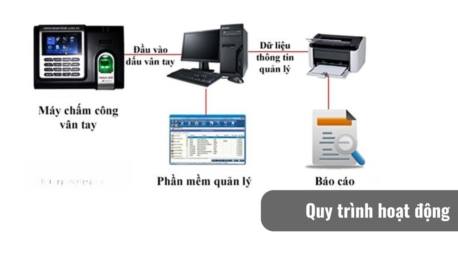 toi-uu-hoa-quy-trinh-tra-luong