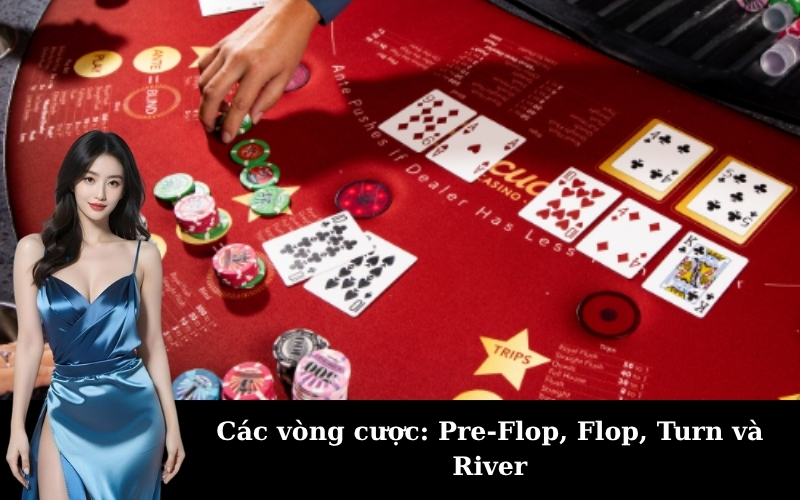 Các vòng cược: Pre-Flop, Flop, Turn và River