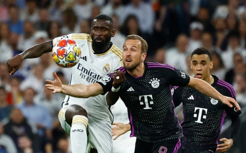 Cách đọc biểu đồ Odds chuyên sâu để bắt bài nhà cái