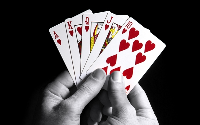 Giải mã các thuật ngữ trong Sâm Lốc Báo sâm, đền sâm, chặn heo.