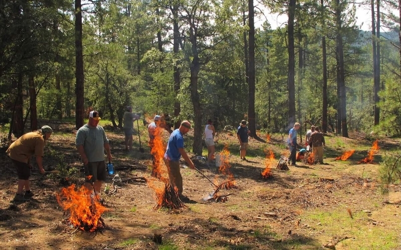 Giải mã sức hút mãnh liệt của các Show thực tế về kỹ năng sinh tồn