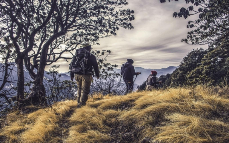 Những yếu tố then chốt tạo nên thành công của chương trình
